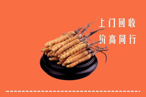 收购行情：揭西县冬虫夏草回收多少钱每克