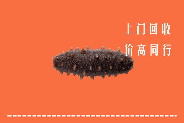 揭西县回收海参